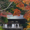 P1060609