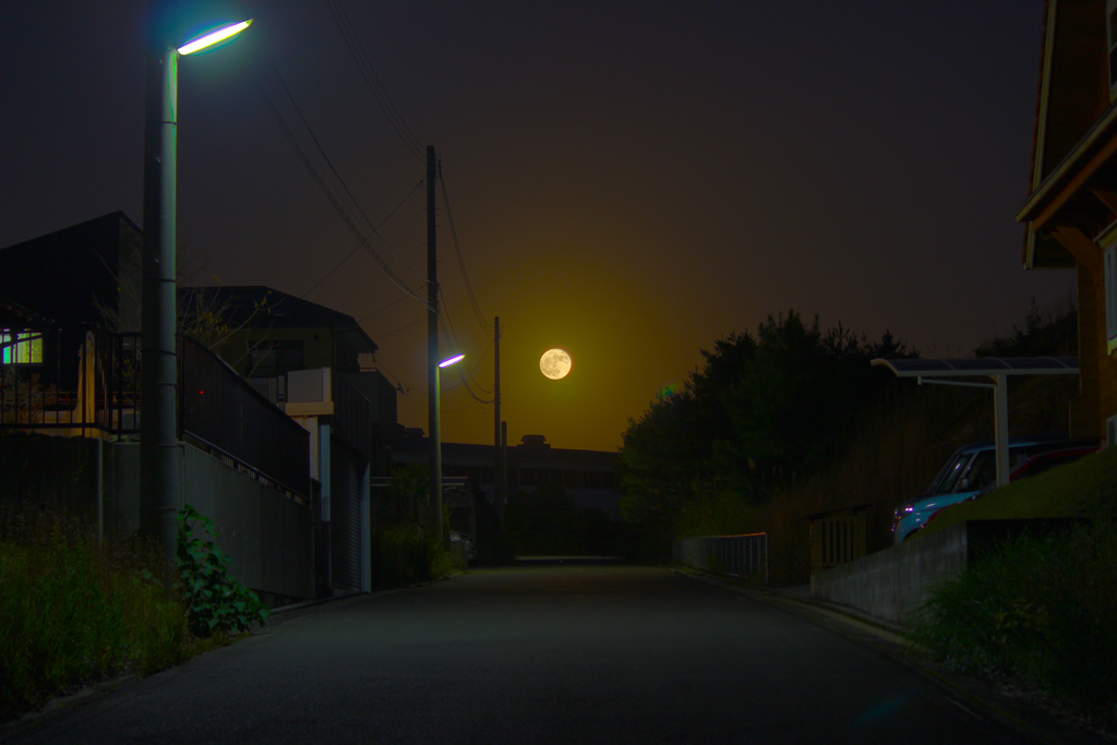 田舎の住宅地と月