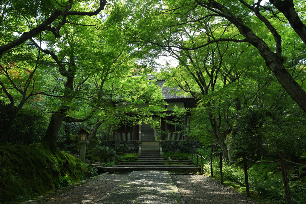 常寂光寺