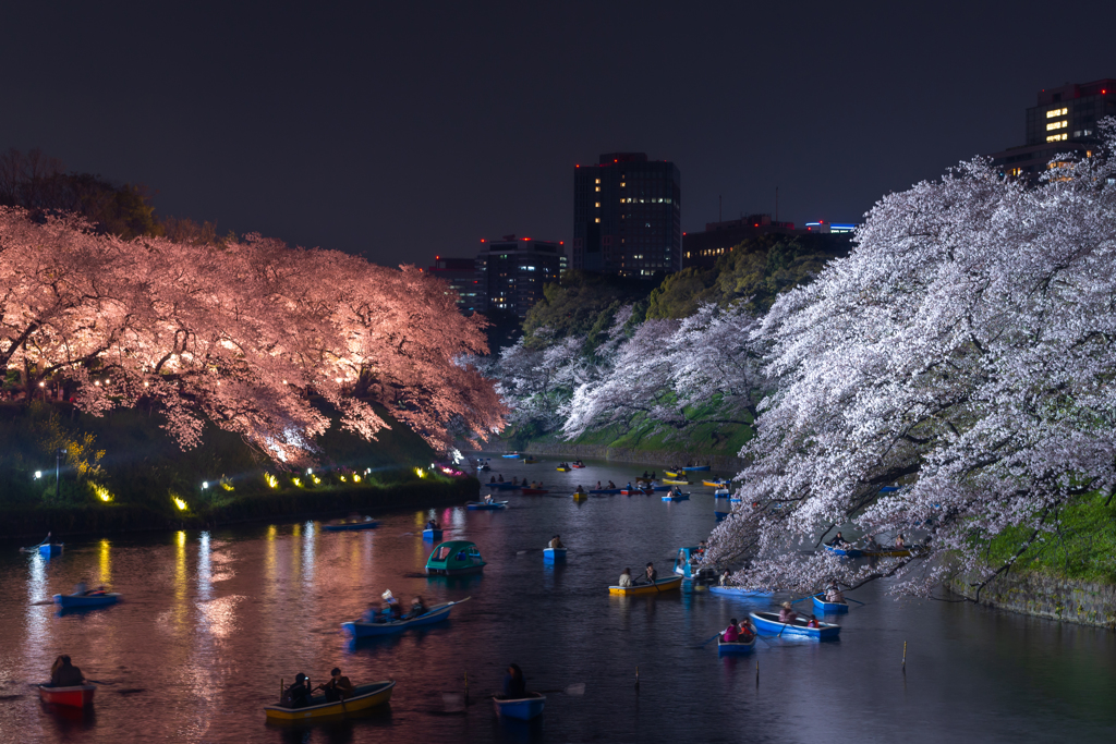 千鳥ヶ淵