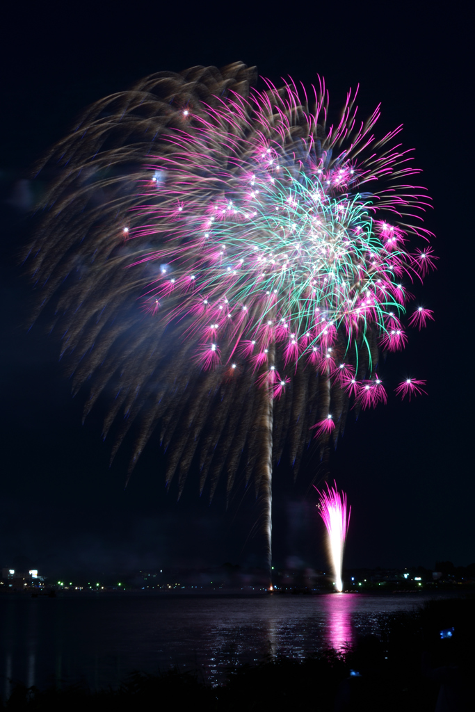 夏の夜の花1