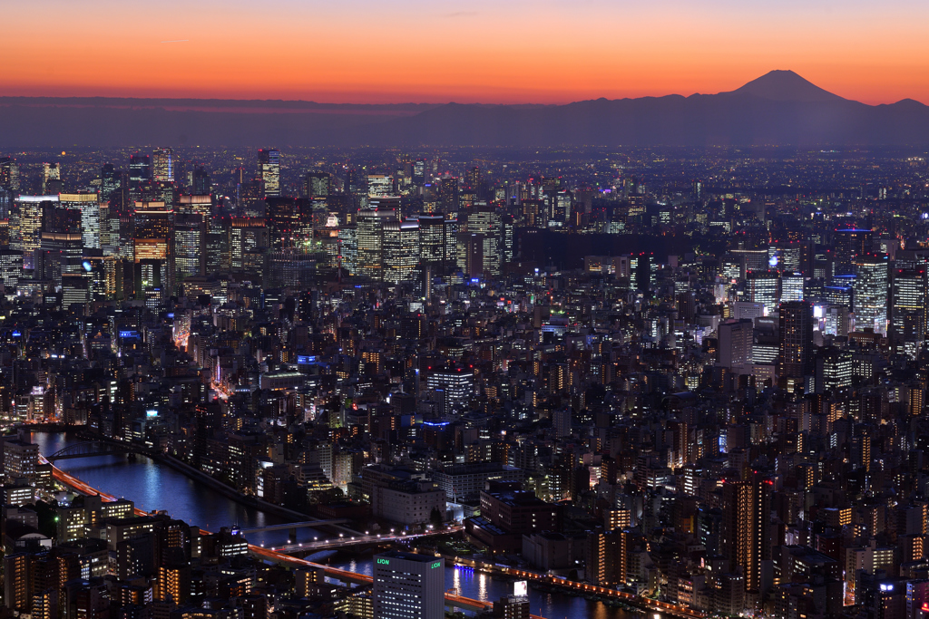 東の塔より望む富士