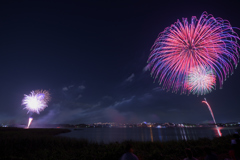 夏の夜の花8