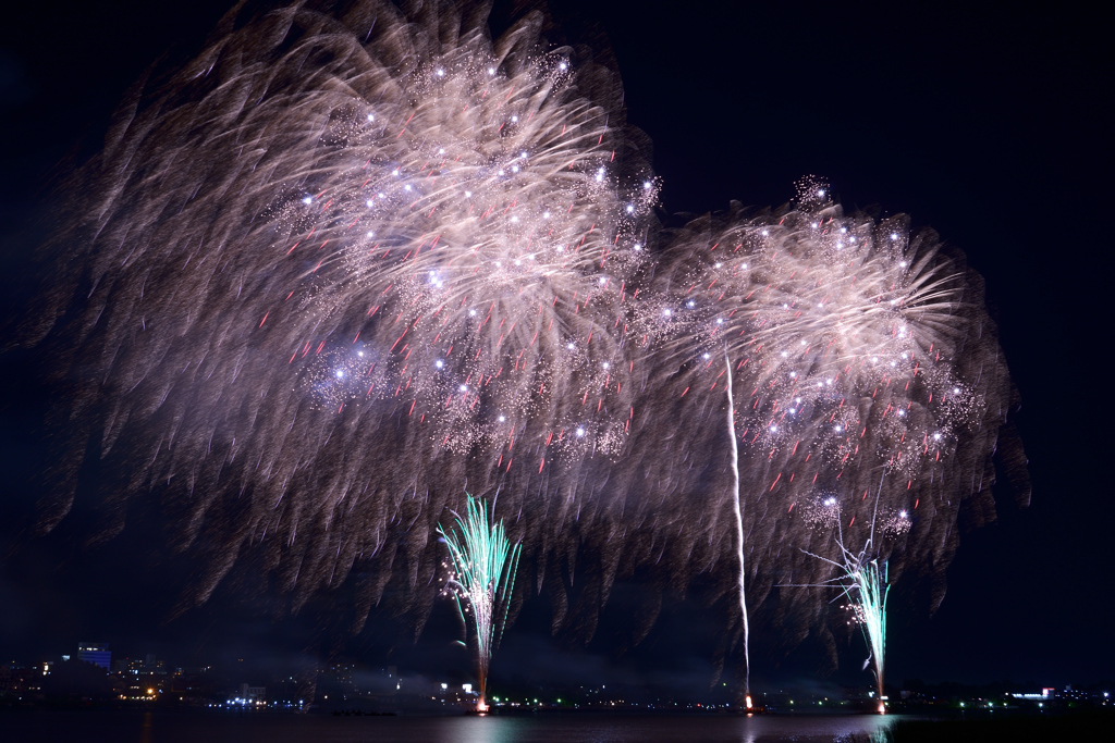 夏の夜の花9