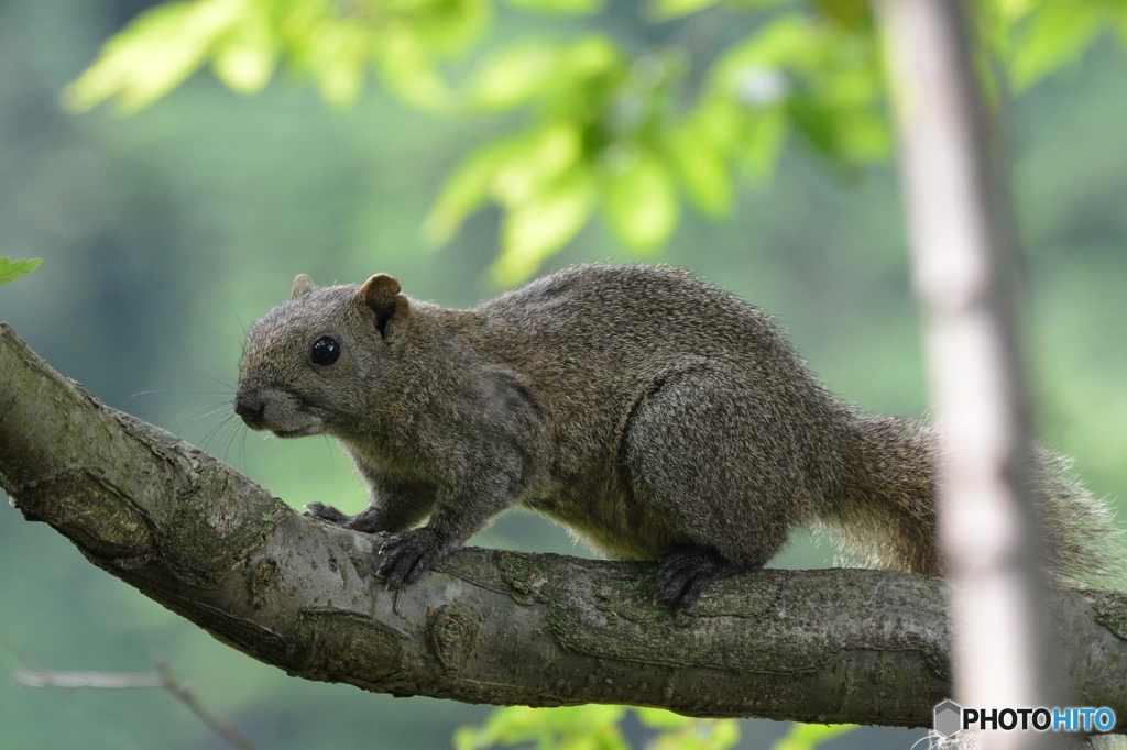 台湾からきました