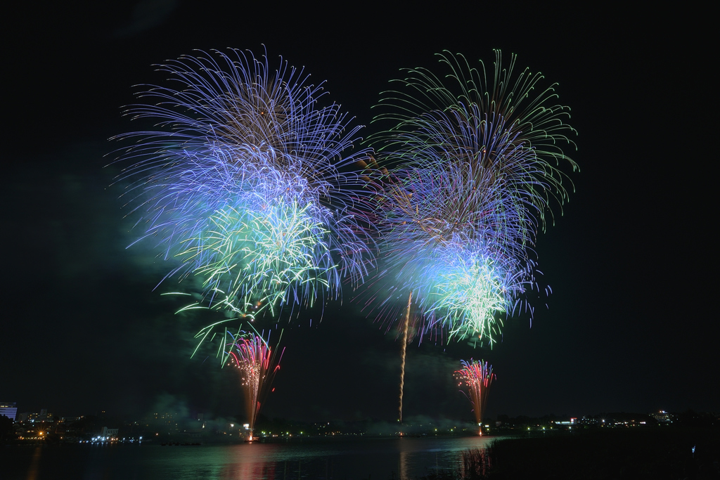 夏の夜の花3