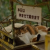 今日も！でしょ