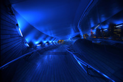 Blue night