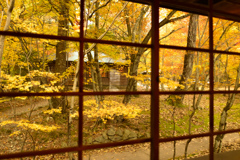 秋の窓辺