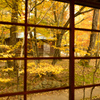 秋の窓辺