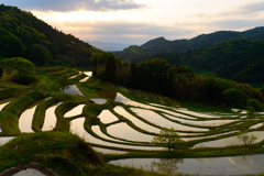 棚田の朝1