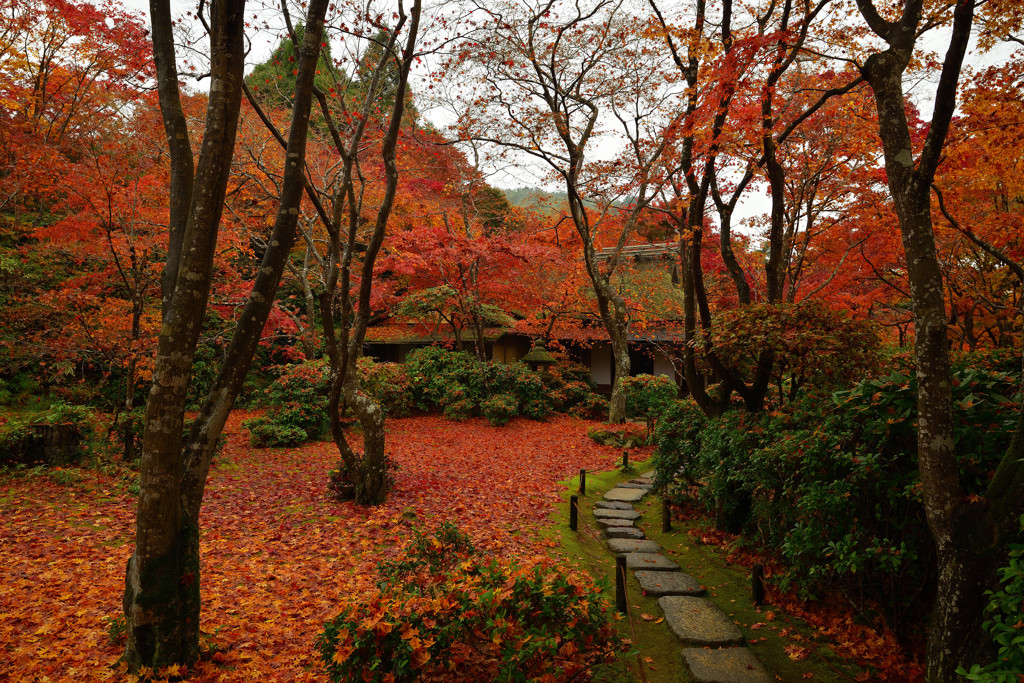 大河内山荘
