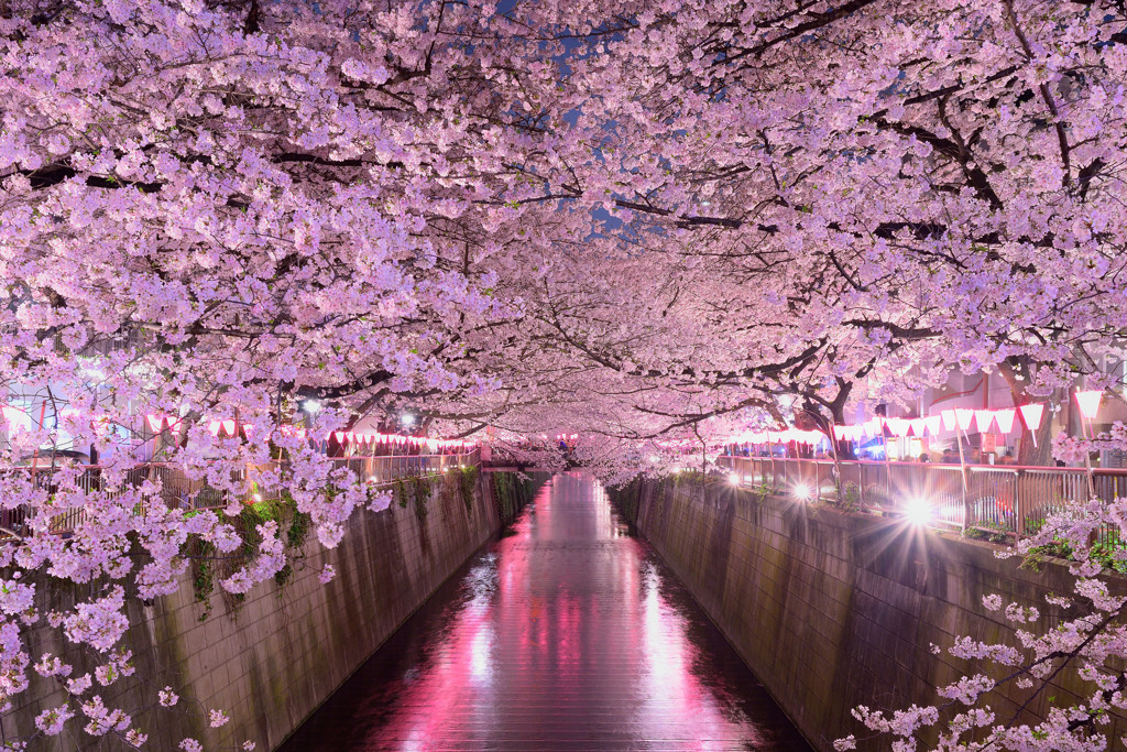 櫻川