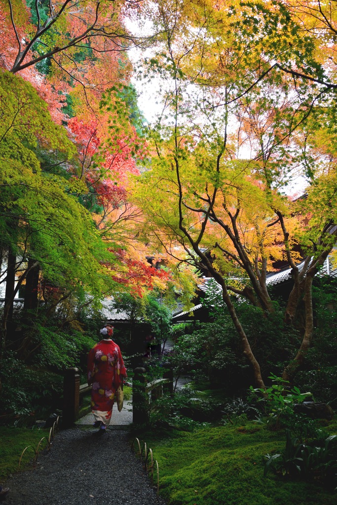 Japan　Beauty