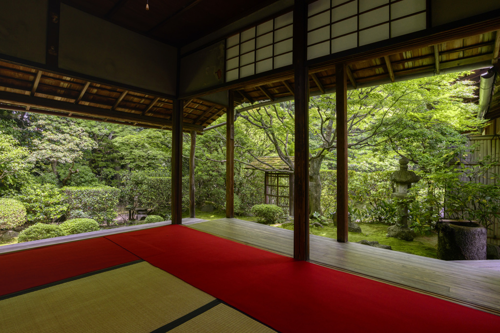 新緑シリーズ　桂春院