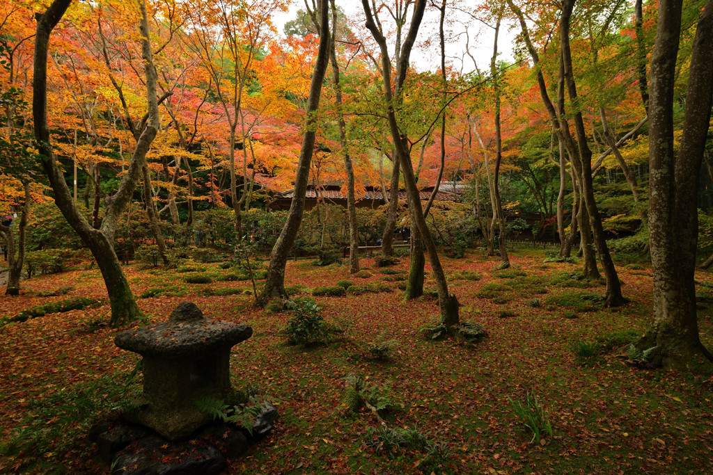 祇王寺