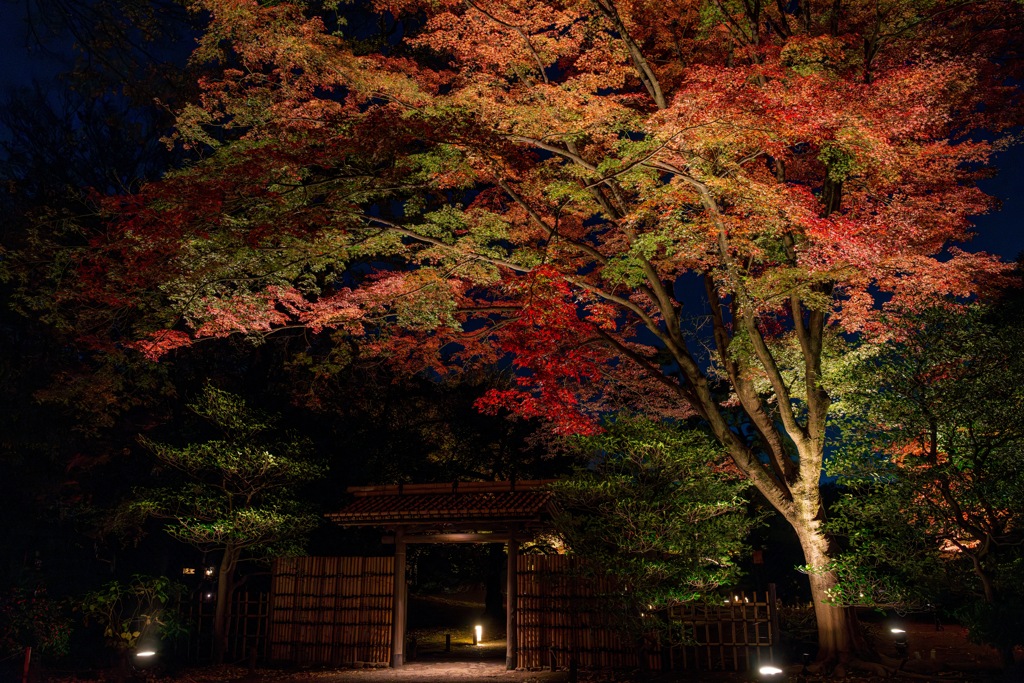 紅葉の門