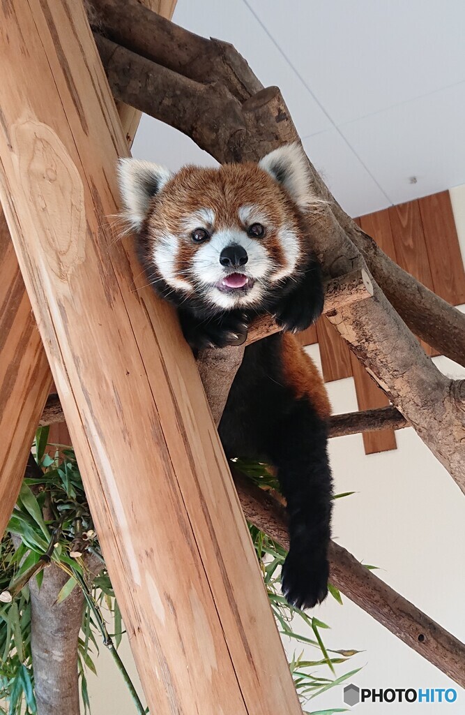 今日は愛想がイイね