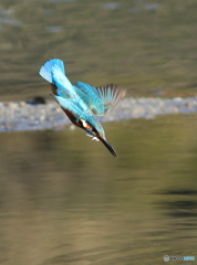 突撃!(20150131) 突撃!(20150131)