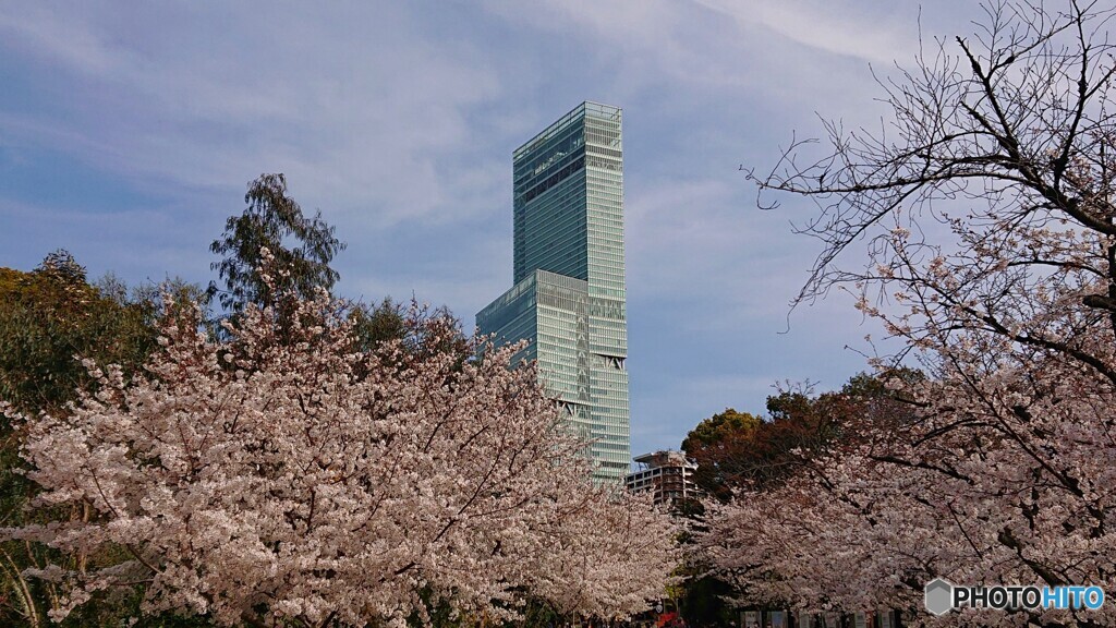 春のアベノハルカス