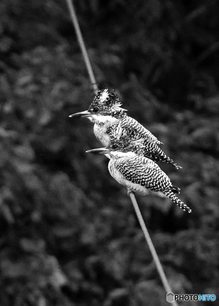 早朝デート（証拠写真）