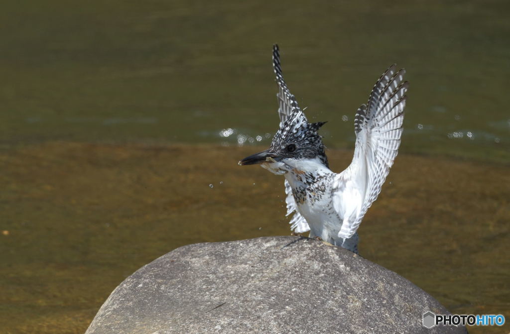 タッチダウン！