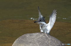 タッチダウン！