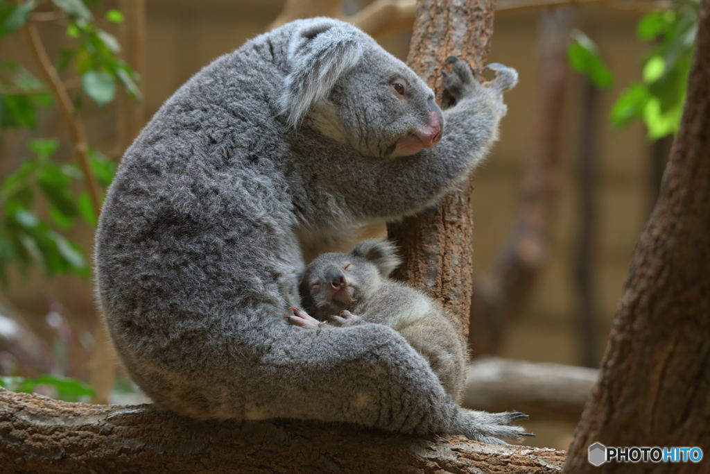 まだ眠いの