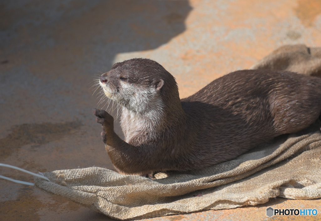 もし、そこのお方…