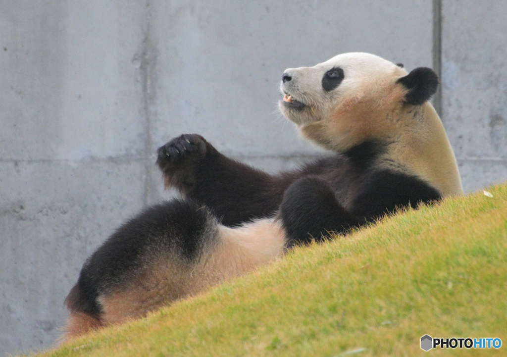 思わずガッツポーズ！