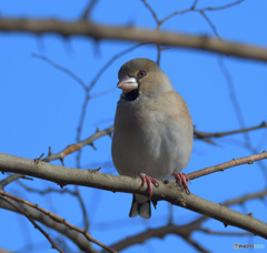 カメラ目線のシメ