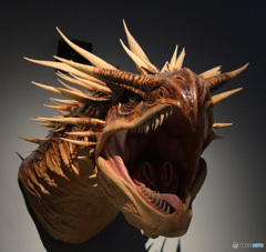 ドラゴン②
