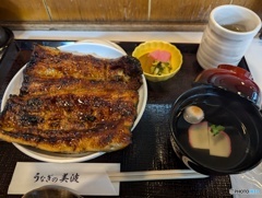 本日の夕食