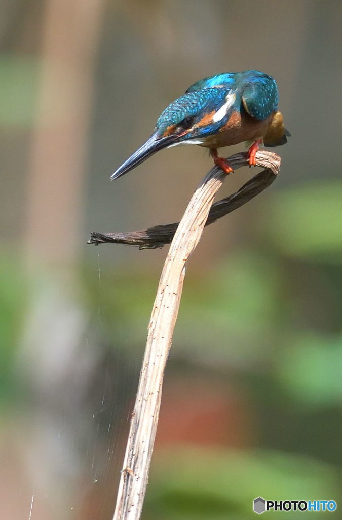 さあ、行くぞう！