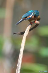 さあ、行くぞう！