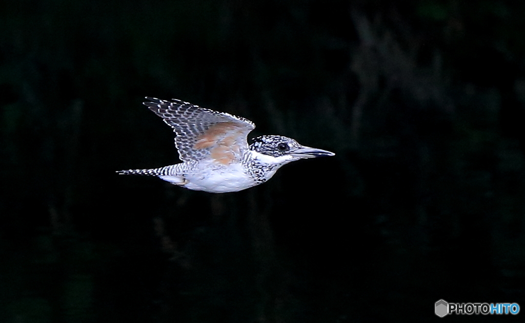 本日のローパス（20160903）