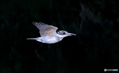 本日のローパス（20160903）