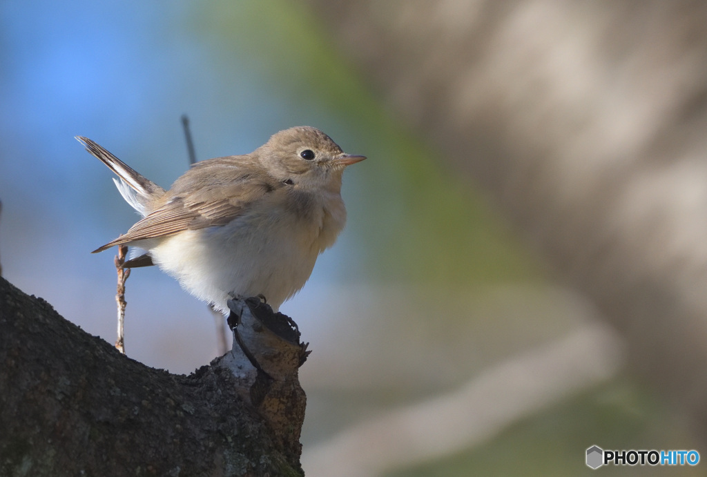 今日も元気よく