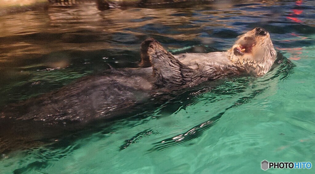 北海のオフィーリア