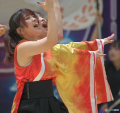 どまつり 57