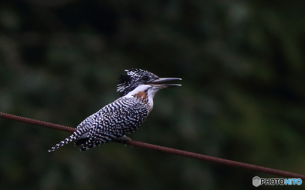 明日晴れるかな