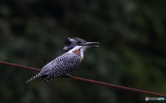 明日晴れるかな