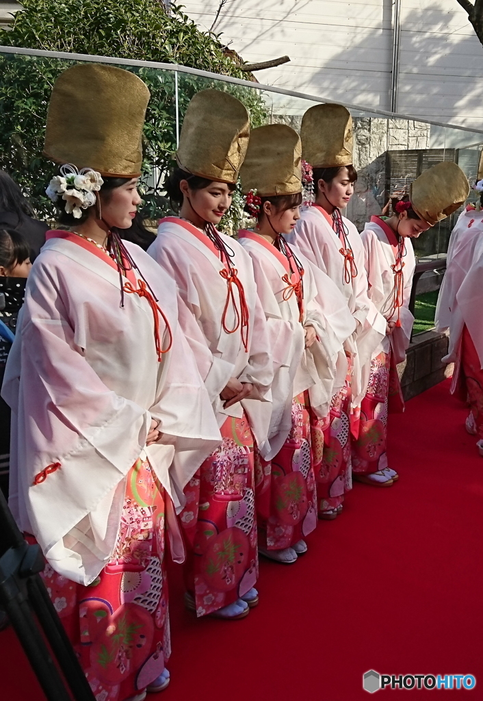 今宮戎の福娘（予告編）