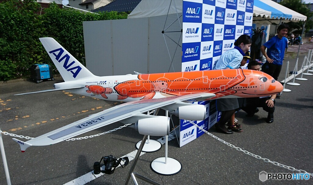 ANAの新色(>_<)