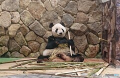 全ては彼の功績