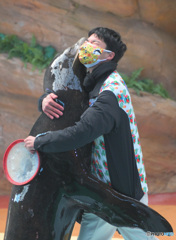 僕のパートナー