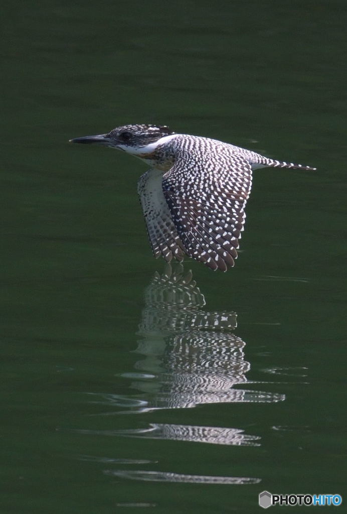 水切り飛行