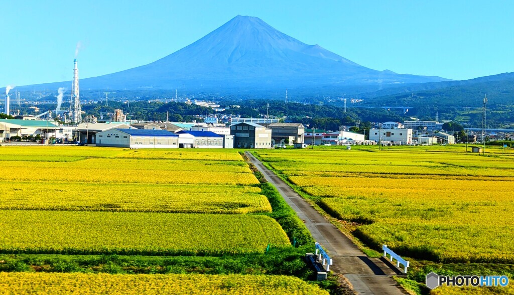 ８月の富士山③