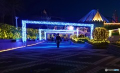 夜のアドベンチャーワールド