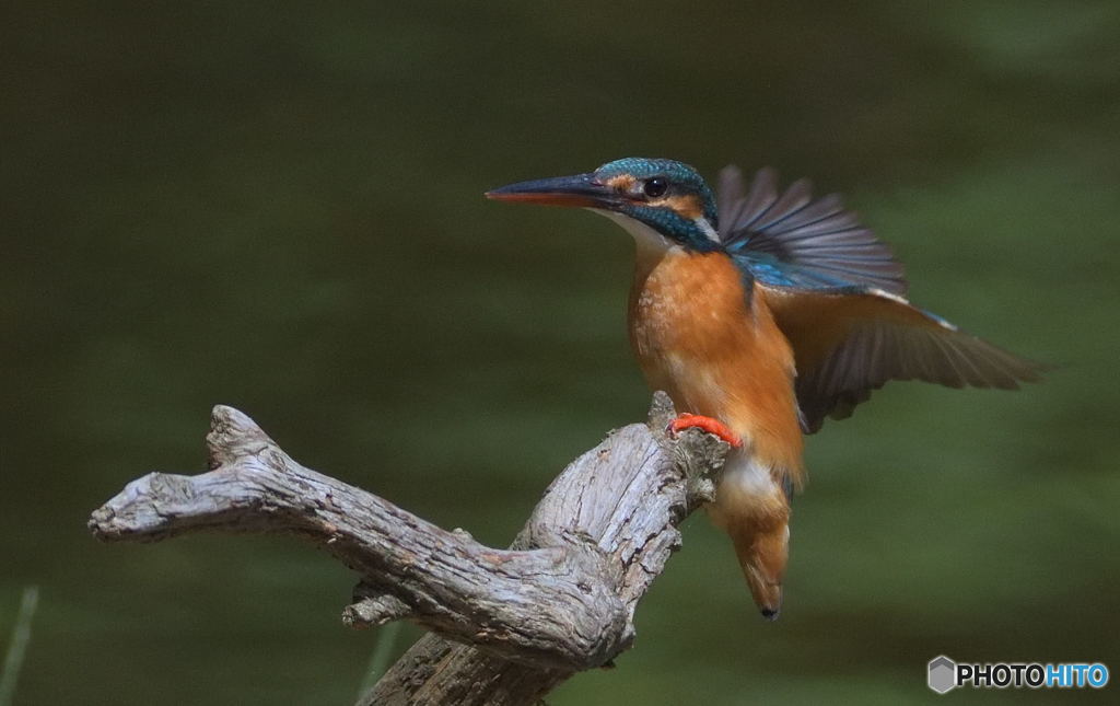 タッチダウン！